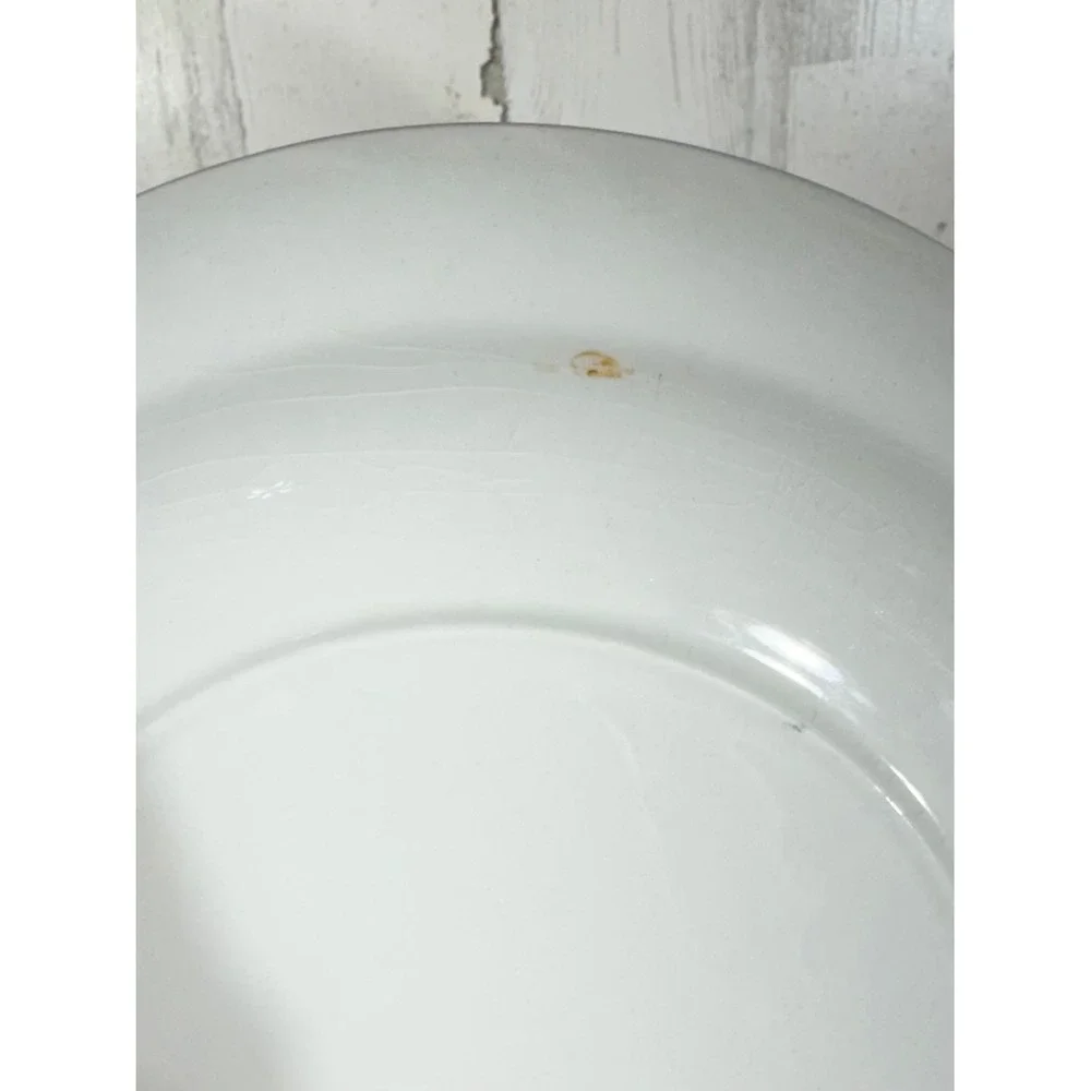 Adams Dinner Plates 10